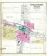 Strawberry Point, Clayton County 1886